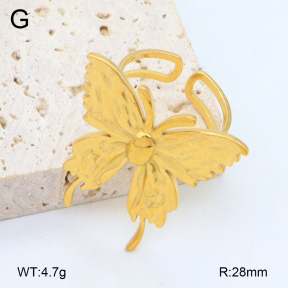 2R2002044ablb-669  Stainless Steel Ring