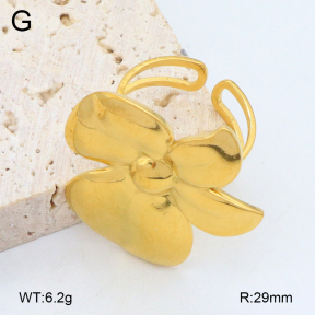 2R2002047ablb-669  Stainless Steel Ring