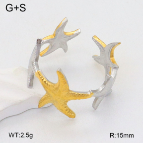 2R2002055baka-669  Stainless Steel Ring