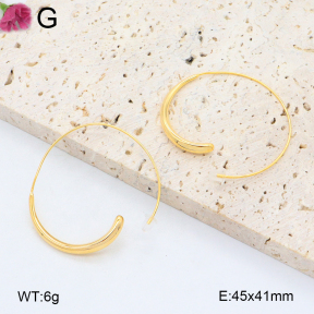 F2E202021vhmv-K69  Fashion Earrings