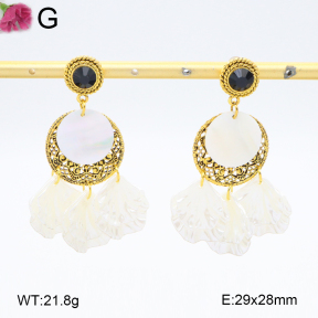 F2E300997vila-K69  Fashion Earrings