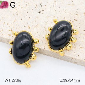 F2E402130vhpl-K69  Fashion Earrings
