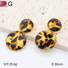 F2E402135aivb-K69  Fashion Earrings