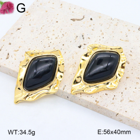 F2E402158bihl-K69  Fashion Earrings
