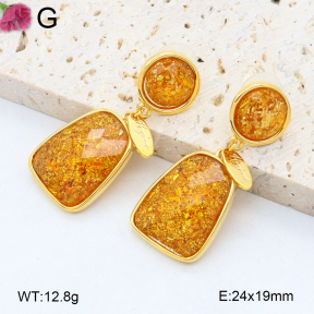 F2E402160vhol-K69  Fashion Earrings