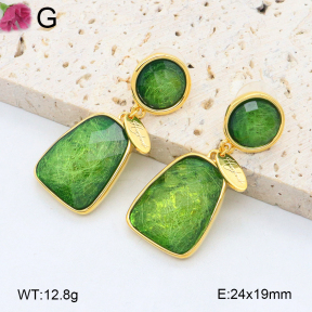 F2E402161vhol-K69  Fashion Earrings
