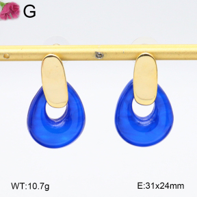 F2E402165biib-K69  Fashion Earrings