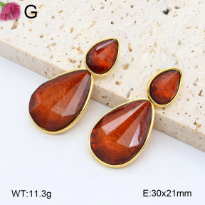 F2E402177bihl-K69  Fashion Earrings