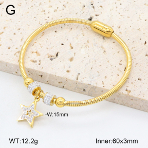 2BA402416vhkl-743  Stainless Steel Bangle