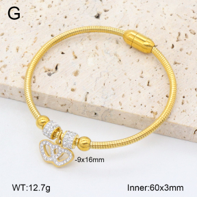 2BA402418vhkl-743  Stainless Steel Bangle