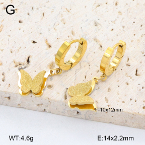 2E2006467bbmo-743  Stainless Steel Earrings