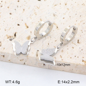 2E2006468vbmb-743  Stainless Steel Earrings