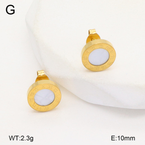 2E3003789vbll-743  Stainless Steel Earrings