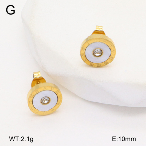 2E3003790vbll-743  Stainless Steel Earrings