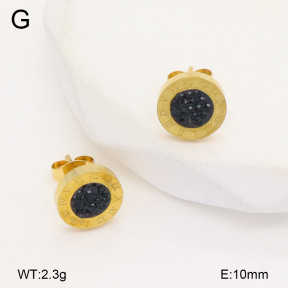 2E4004716vbll-743  Stainless Steel Earrings