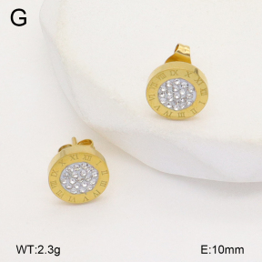 2E4004717vbll-743  Stainless Steel Earrings