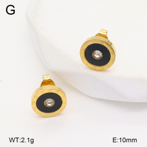 2E4004719vbll-743  Stainless Steel Earrings