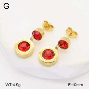 2E4004720vbnb-743  Stainless Steel Earrings