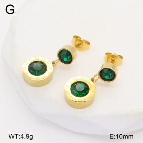 2E4004721vbnb-743  Stainless Steel Earrings