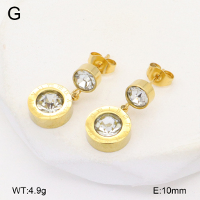 2E4004722vbnb-743  Stainless Steel Earrings