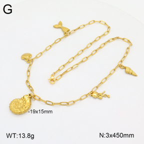 2N2007125bvpl-704  Stainless Steel Necklace