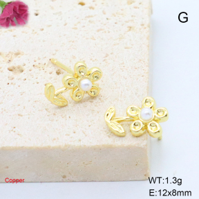 F6E302119avja-L017  Fashion Copper Earrings