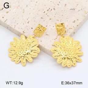 2E2006433bhbl-480  Stainless Steel Earrings