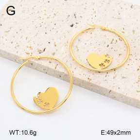 2E2006440vail-446  Stainless Steel Earrings