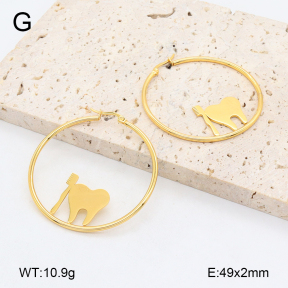 2E2006441vail-446  Stainless Steel Earrings