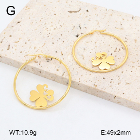 2E2006442vail-446  Stainless Steel Earrings