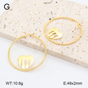 2E2006443vail-446  Stainless Steel Earrings