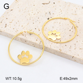 2E2006444vail-446  Stainless Steel Earrings