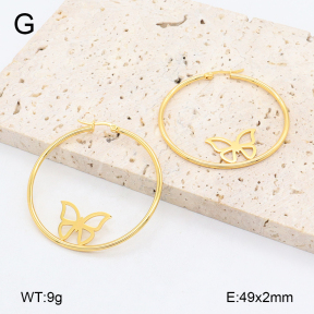 2E2006445vail-446  Stainless Steel Earrings