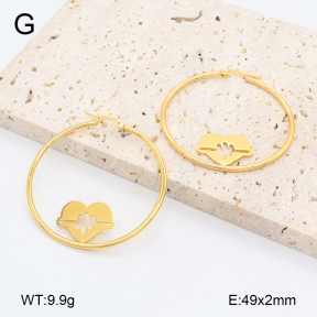 2E2006446vail-446  Stainless Steel Earrings