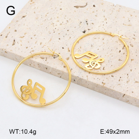 2E2006447vail-446  Stainless Steel Earrings