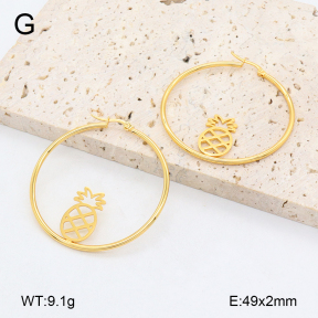 2E2006451vail-446  Stainless Steel Earrings