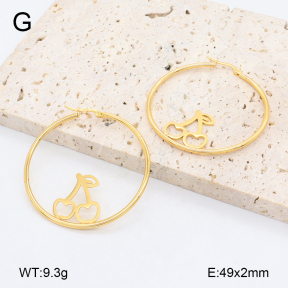 2E2006452vail-446  Stainless Steel Earrings