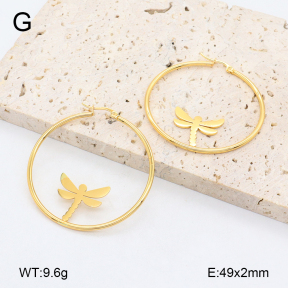 2E2006453vail-446  Stainless Steel Earrings