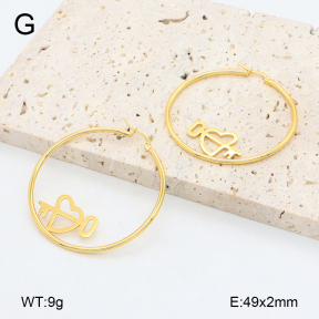 2E2006454vail-446  Stainless Steel Earrings