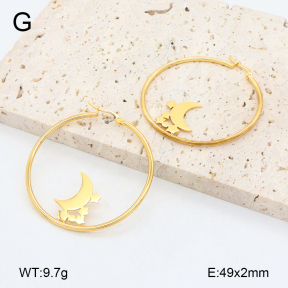 2E2006455vail-446  Stainless Steel Earrings