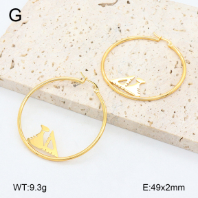 2E2006457vail-446  Stainless Steel Earrings