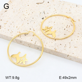 2E2006458vail-446  Stainless Steel Earrings