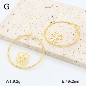 2E2006459vail-446  Stainless Steel Earrings