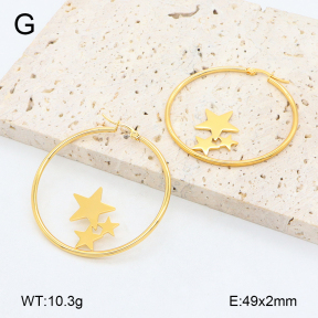 2E2006460vail-446  Stainless Steel Earrings