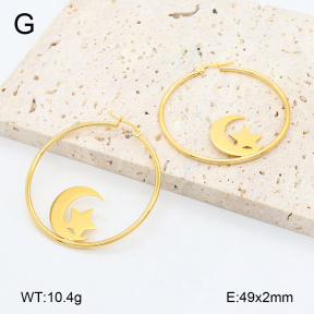 2E2006461vail-446  Stainless Steel Earrings