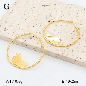 2E2006462vail-446  Stainless Steel Earrings