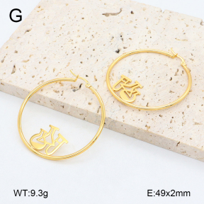 2E2006463vail-446  Stainless Steel Earrings