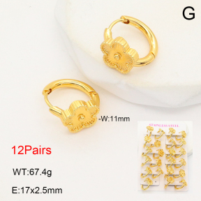 2E2006464akoa-446  Stainless Steel Earrings