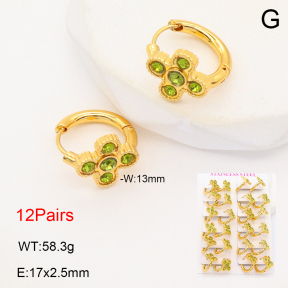 2E4004706alka-446  Stainless Steel Earrings