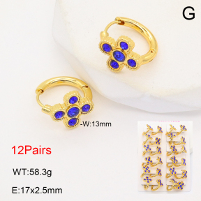 2E4004707alka-446  Stainless Steel Earrings